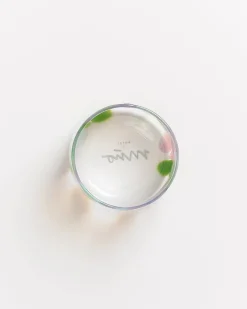 Clearance Motel a Miio Alegria - Glass Small Big Drops Pink Green drops rosa grün